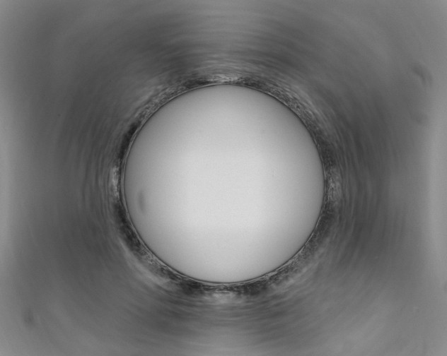 X0000111360598200907100958
