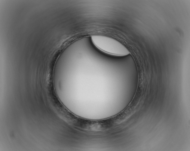 X0000111360600200907100958