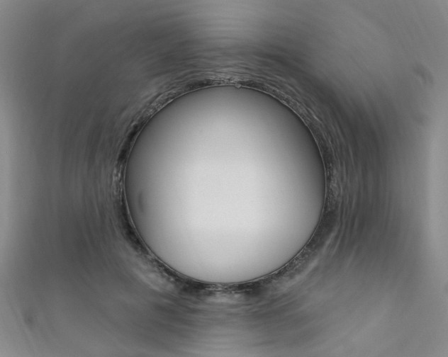 X0000111360601200907100958
