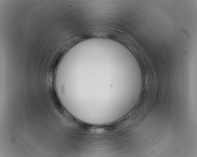 X0000111360602200907100958