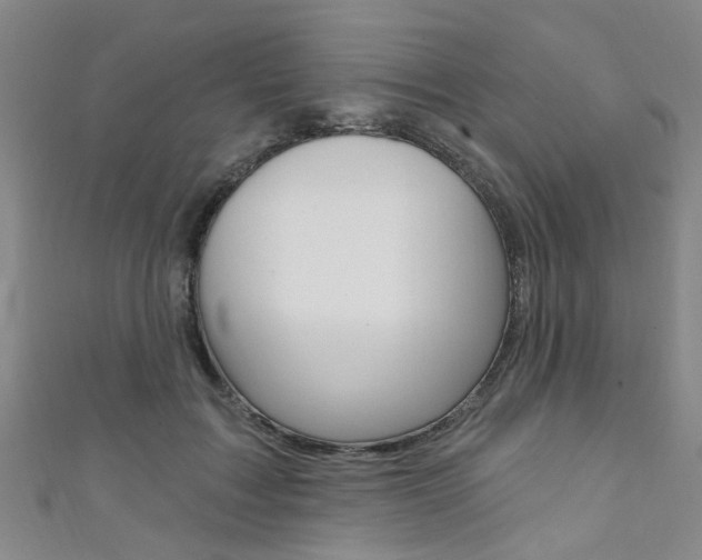 X0000111360603200907100958