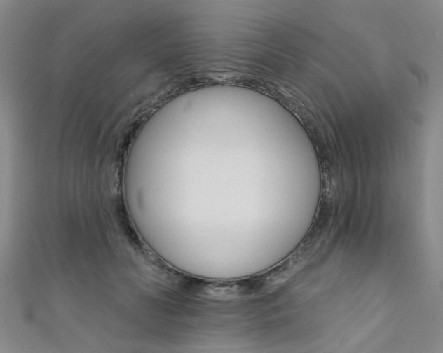 X0000111360606200907100958
