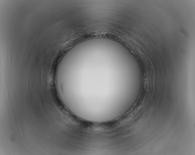 X0000111360608200907100958