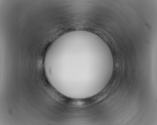 X0000111360610200907100958