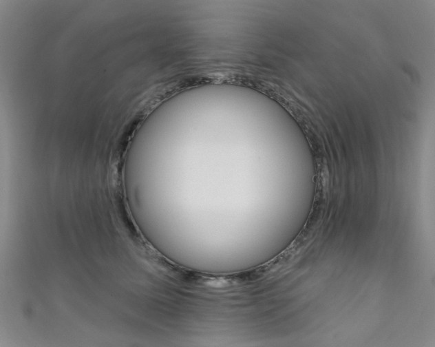 X0000111360611200907100958
