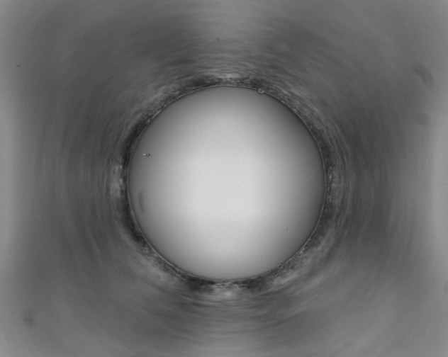X0000111360612200907100958