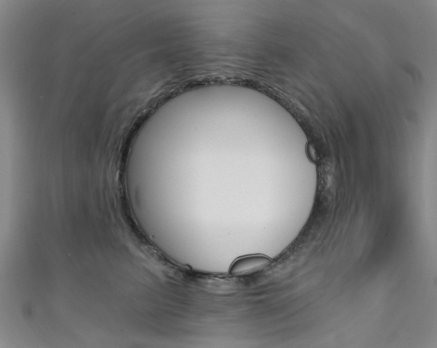 X0000111360615200907100958