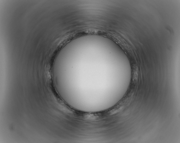 X0000111360616200907100958