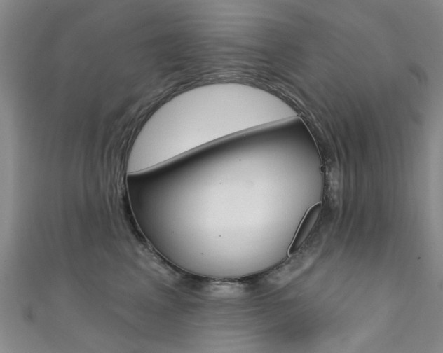 X0000111360617200907100958