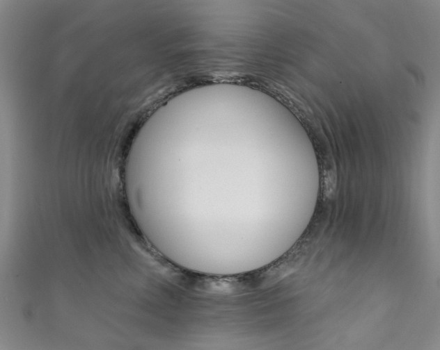 X0000111360618200907100958