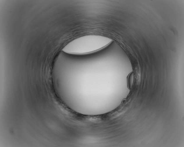 X0000111360619200907100958