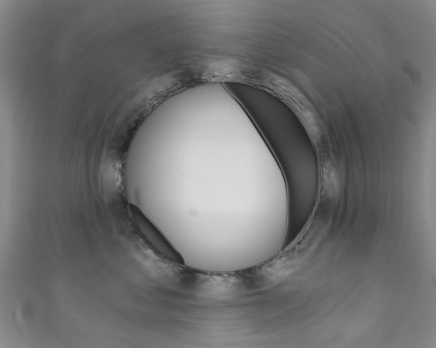 X0000111360621200907100958