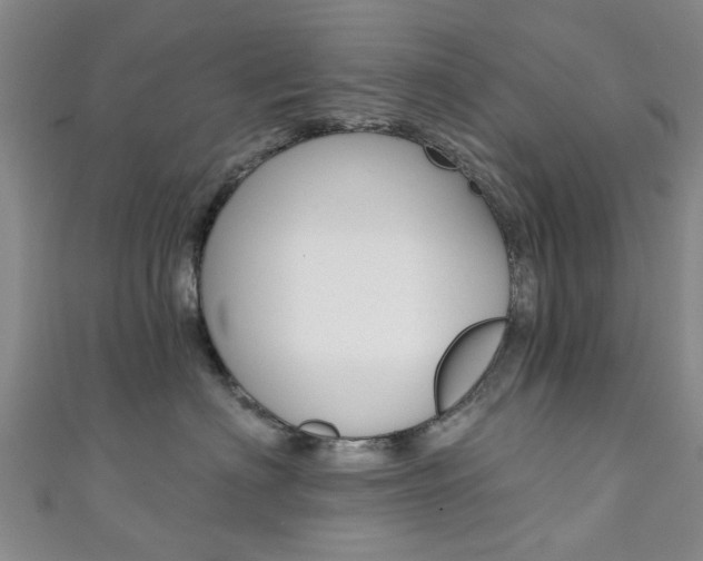 X0000111360622200907100958