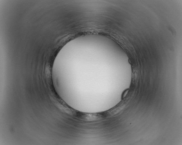 X0000111360623200907100958
