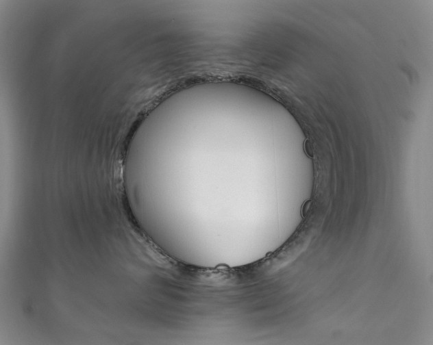X0000111360624200907100958
