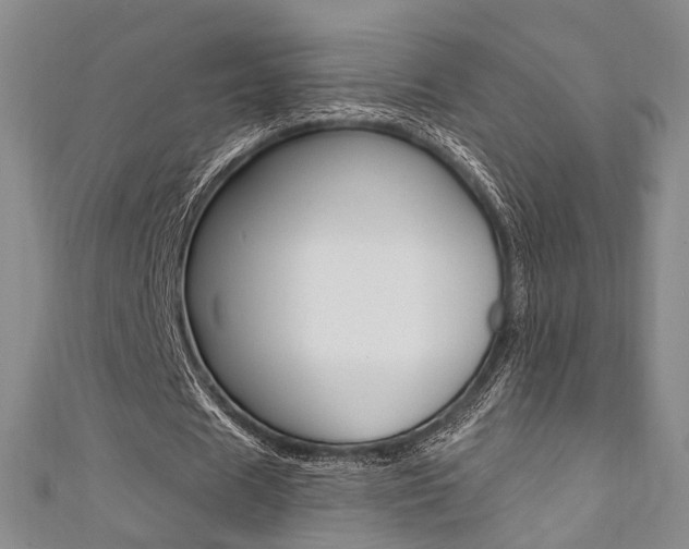 X0000111360625200907100957