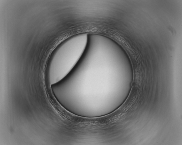 X0000111360626200907100957