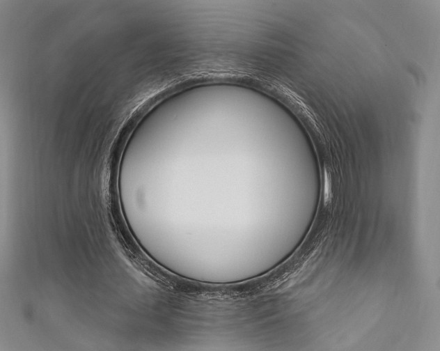 X0000111360627200907100957