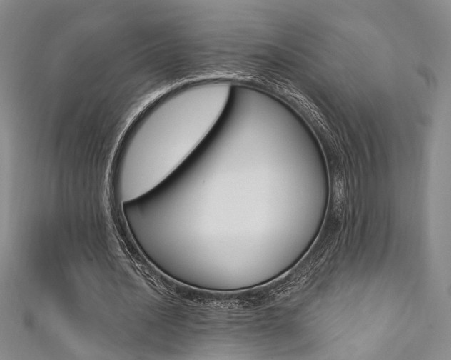 X0000111360628200907100957
