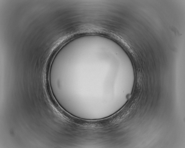 X0000111360629200907100957