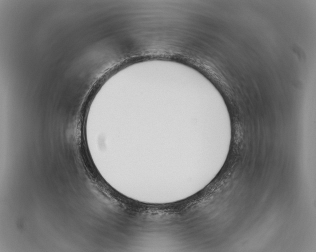 X0000111360632200907100957