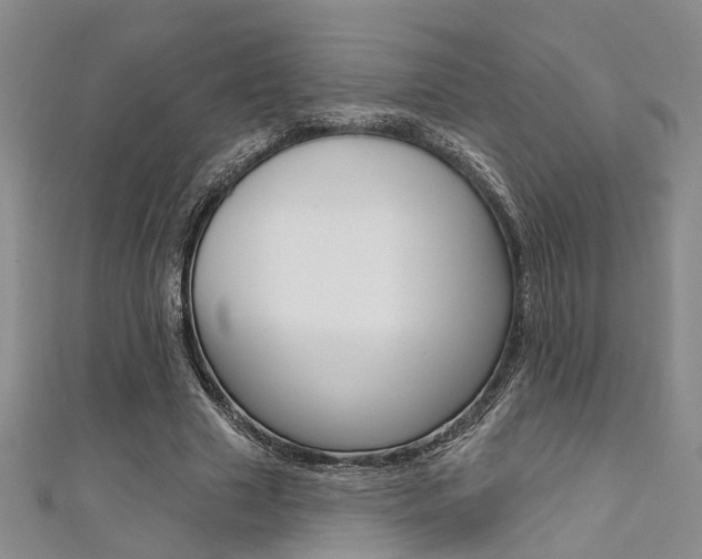 X0000111360633200907100957