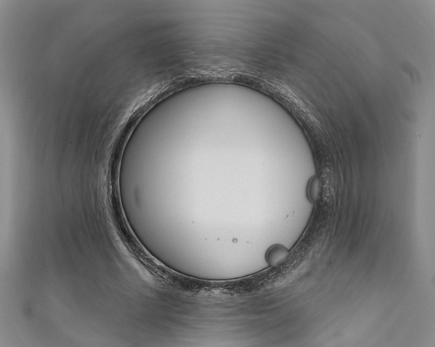 X0000111360634200907100957