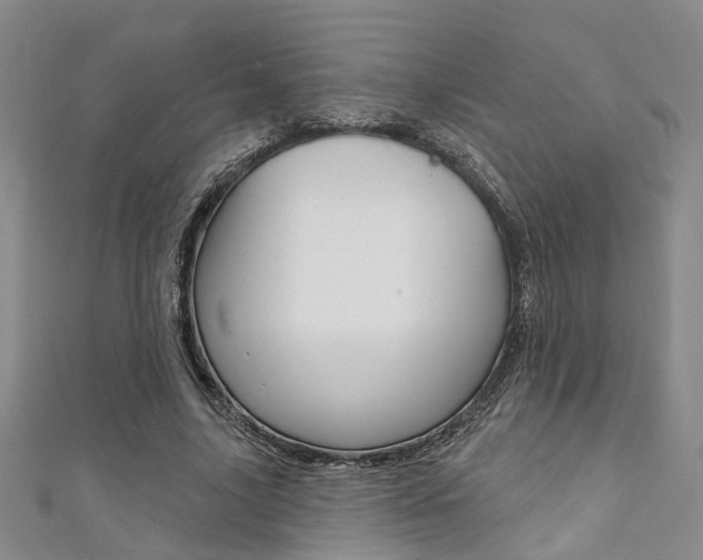 X0000111360635200907100957