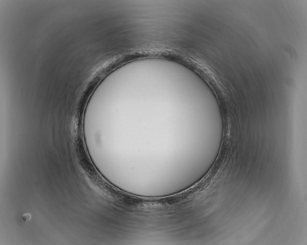 X0000111360636200907100957