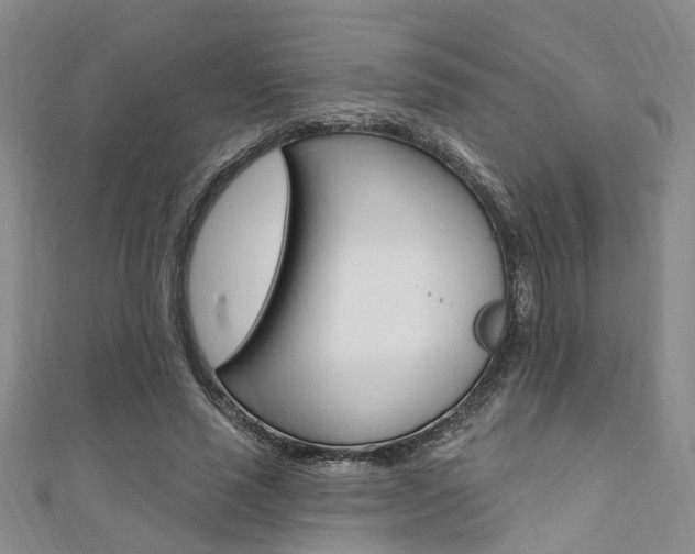 X0000111360637200907100957
