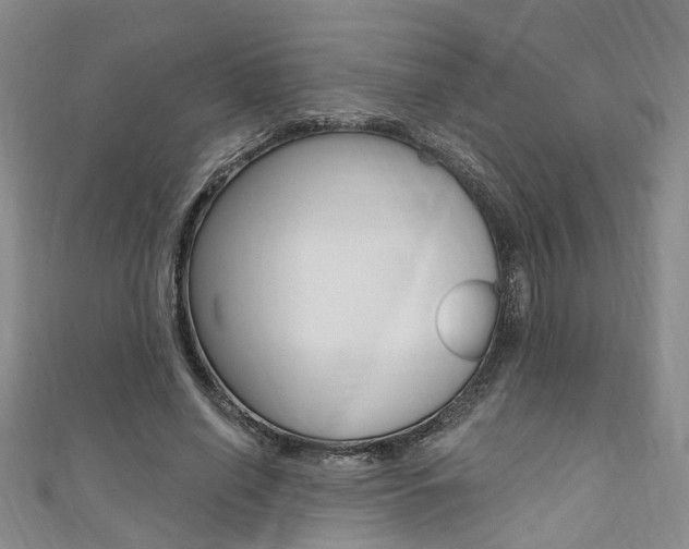 X0000111360638200907100957