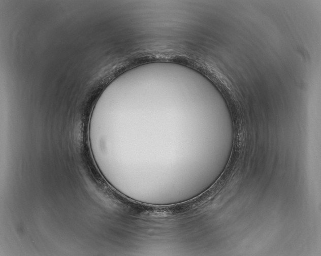 X0000111360639200907100957