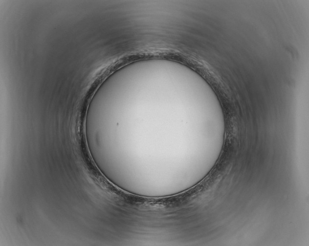 X0000111360640200907100957