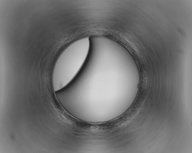X0000111360641200907100957
