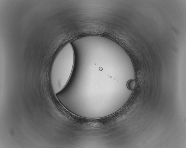 X0000111360642200907100957