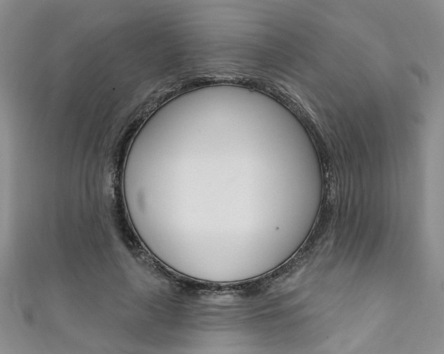 X0000111360643200907100957