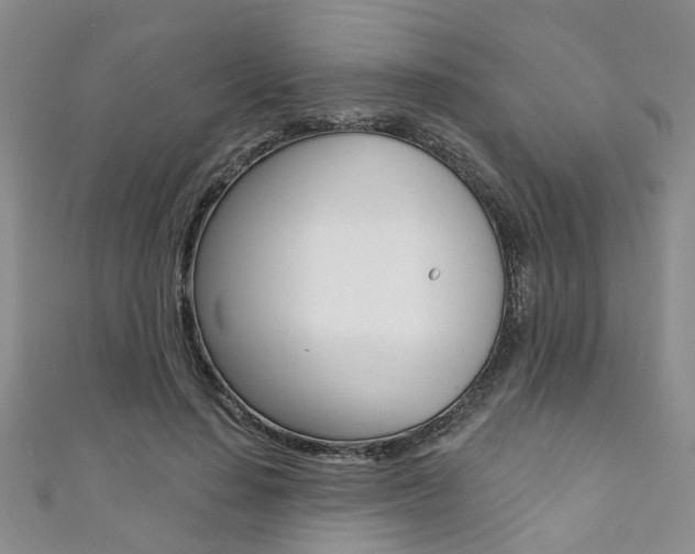 X0000111360644200907100957