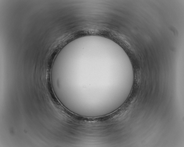 X0000111360645200907100957