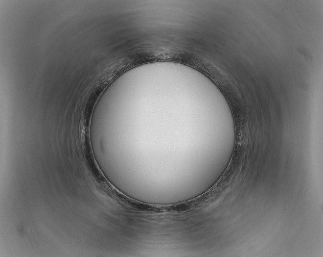X0000111360646200907100957