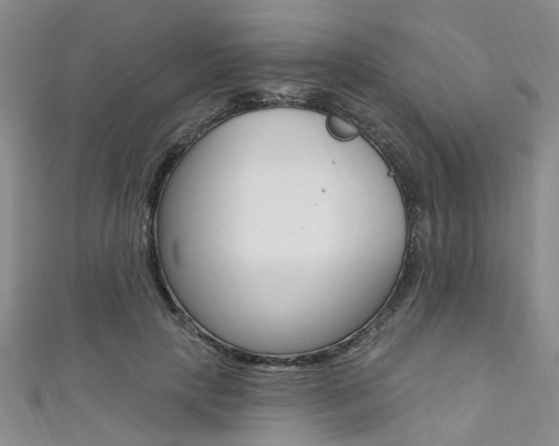 X0000111360649200907100957