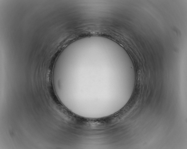 X0000111360650200907100957