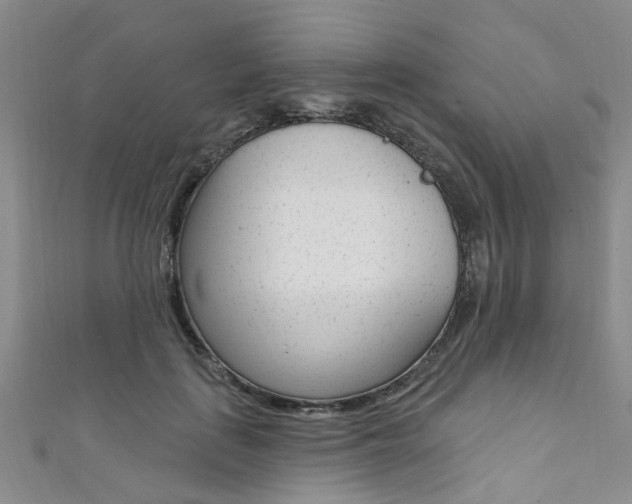 X0000111360651200907100957