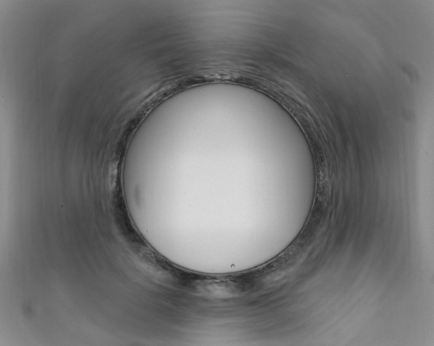 X0000111360652200907100957