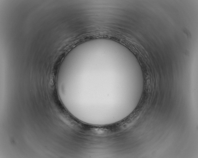 X0000111360654200907100957