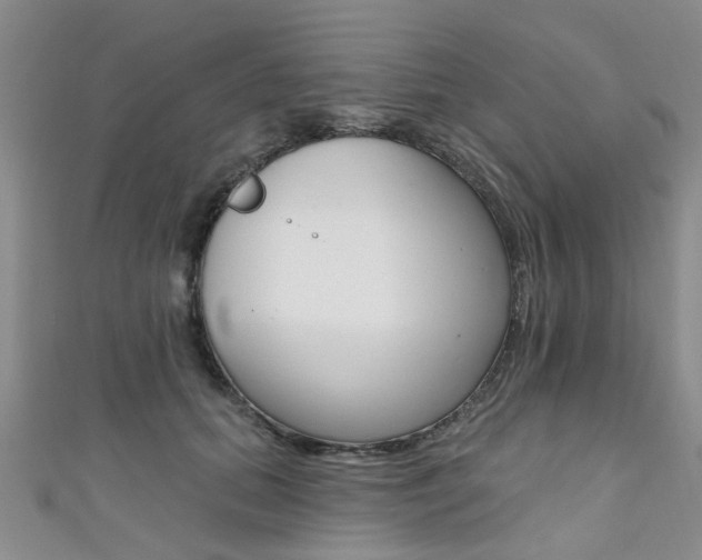 X0000111360655200907100957