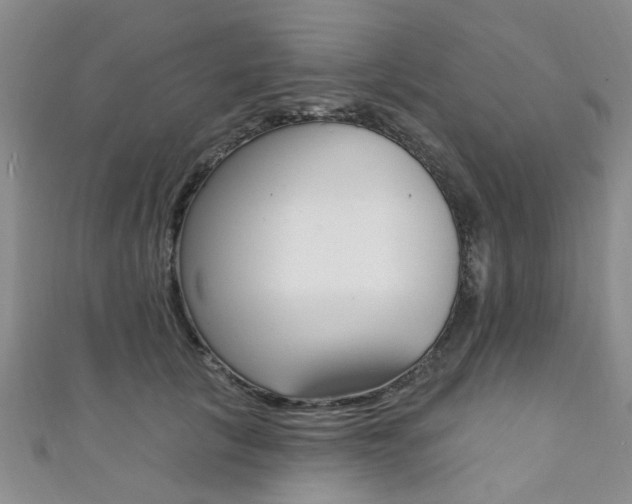 X0000111360657200907100957