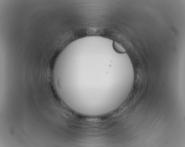 X0000111360659200907100957