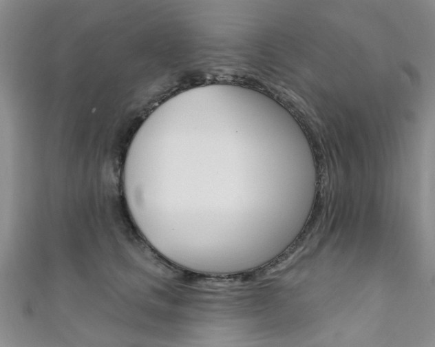 X0000111360661200907100957