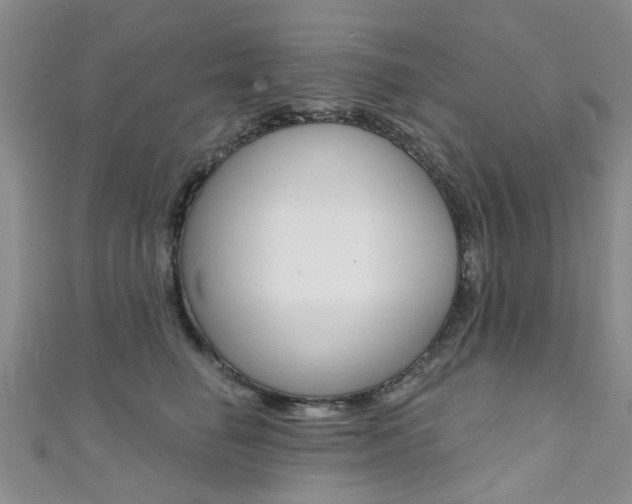 X0000111360662200907100957