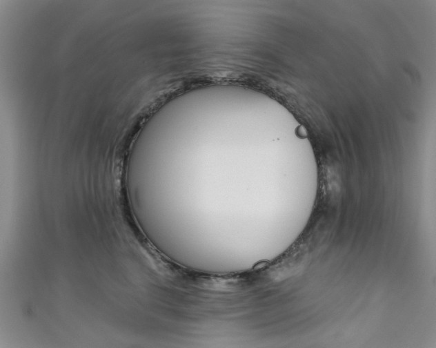 X0000111360664200907100957